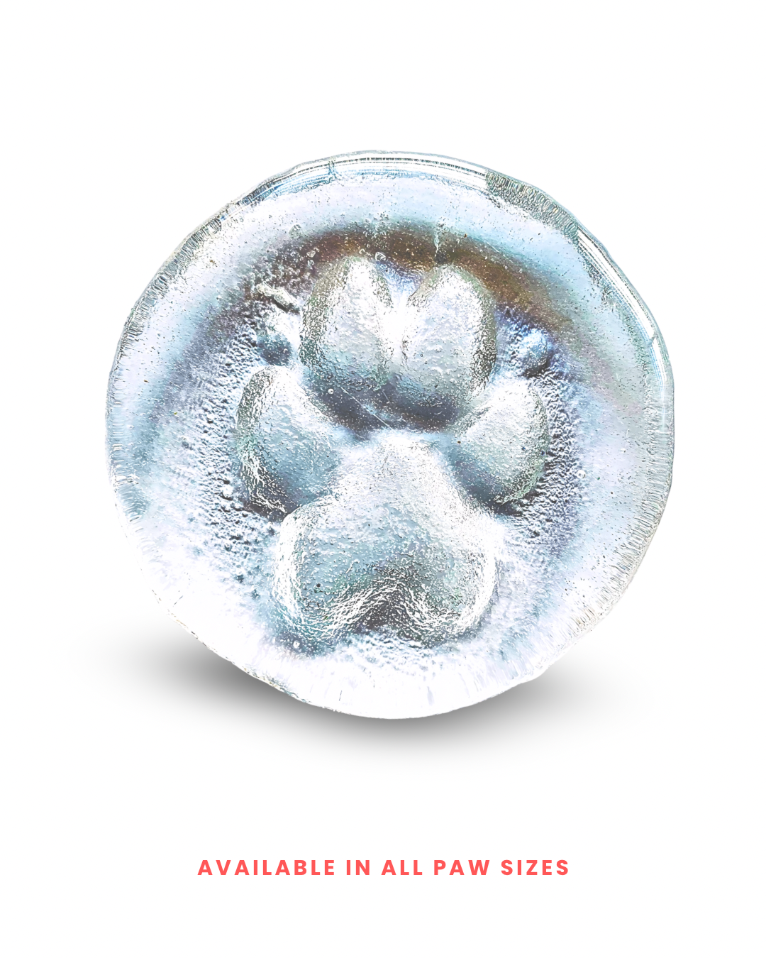 Clear glass mold of a paw print on a white background