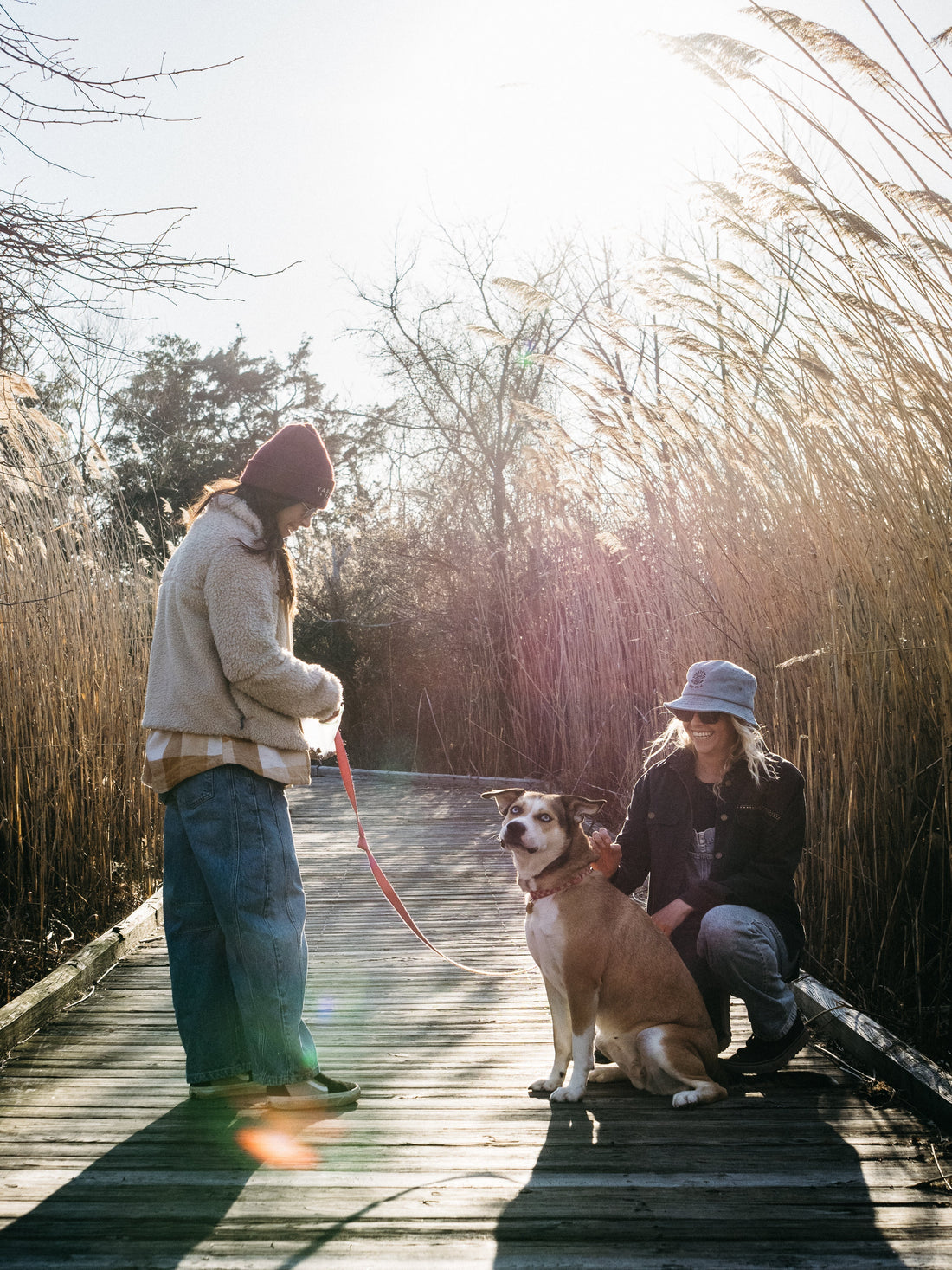 Vibe Check: Is Your Shelf Missing the Cutest 3D Pet Sculpture Ever? (A 'Just Because' Gift Guide)
