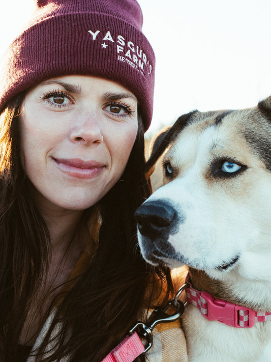 Paw-ty Time! How to Give the Best Birthday Gift... That's Actually For the Pet Parent.