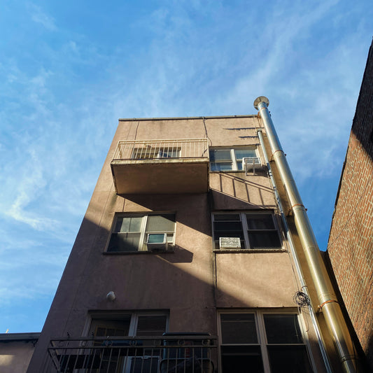 The Art of Integration: Honoring Your Pet Within a Discerning Home