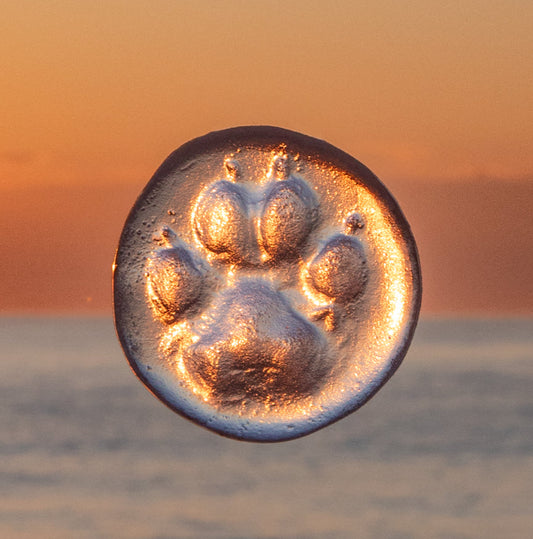 Stop Settling for "Good Enough": Why Glass is the Future of Pet Preservation