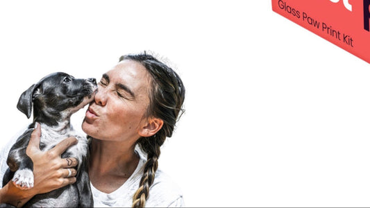 Celebrating Pet Milestones: Why a Hot Paws Print is the Perfect Keepsake