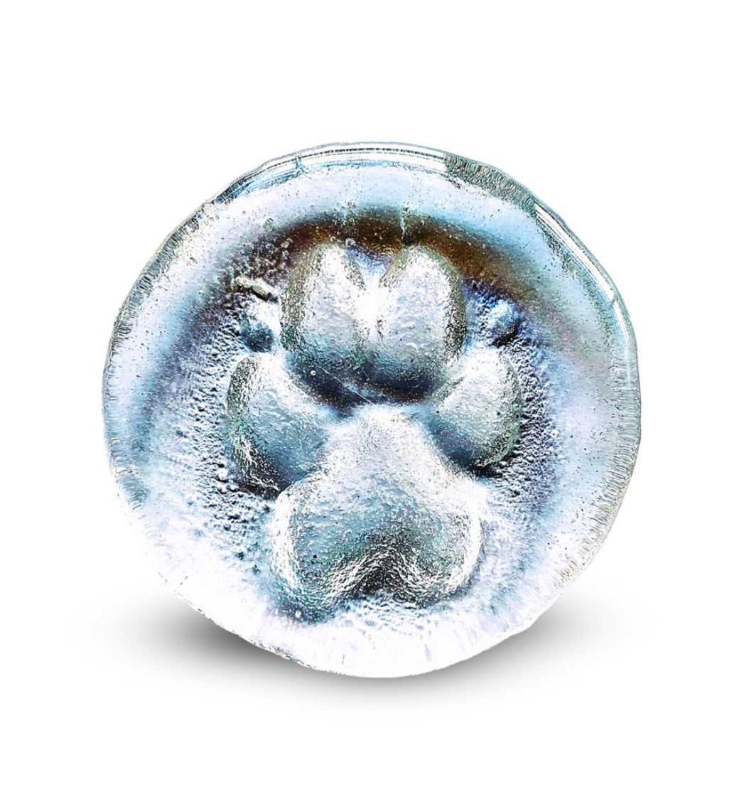 Glass Paw Prints: The Ultimate Guide to Choosing Your Forever Keepsake