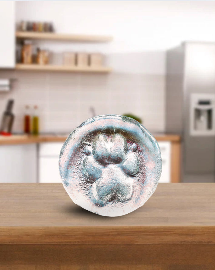 Beyond the Ordinary: Why Discerning Pet Parents Choose Glass for Lasting Memories