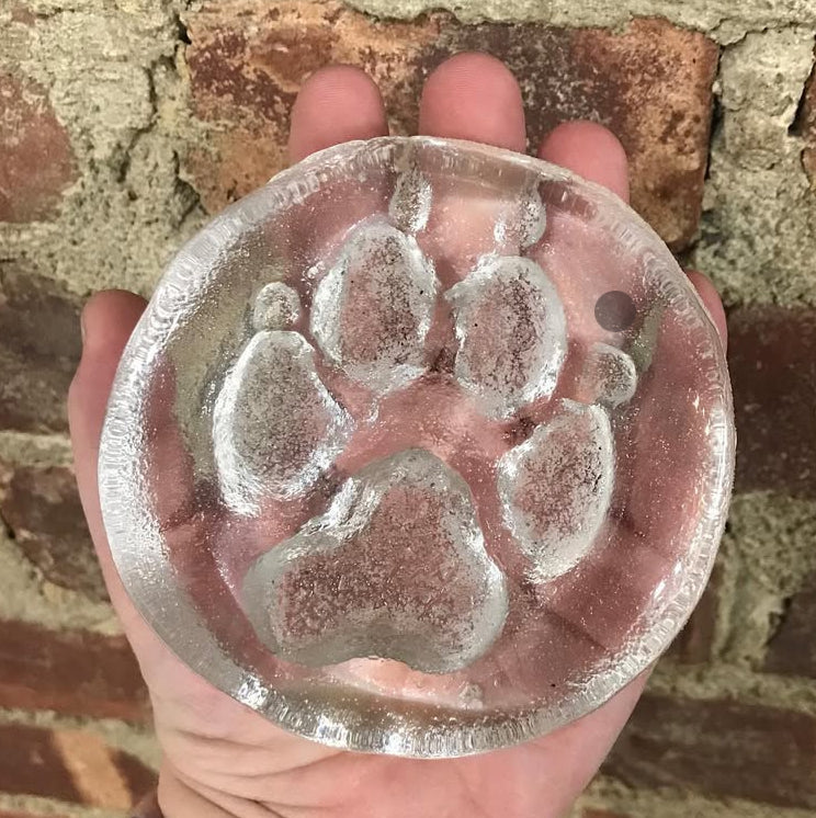 Hand holding a glass paw print mold against a brick wall background