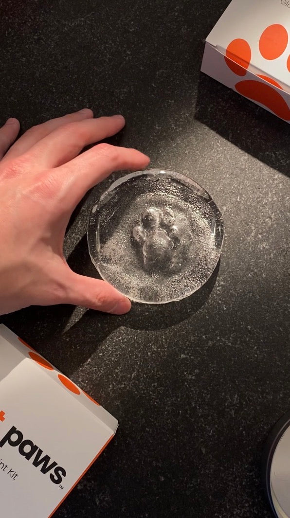 Family Pet Memorial Gift | 4 Glass Paw Print Keepsake Kits | Hot